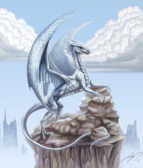 ef82c24cf3_16013973_o2