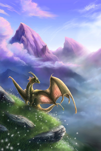 0cdb9e33a8_16645006_o2