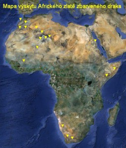 mapa-vyskytu-africkeho-zlate-zbarveneho-draka.jpg